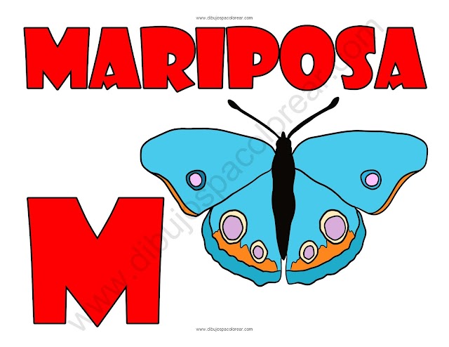 Mariposa letra M abecedario dibujo a color y para colorear